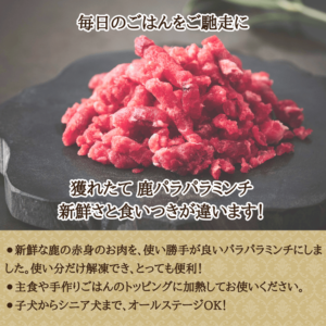 deer_parapara_mince