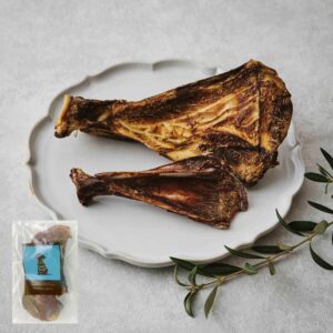 deer_bone_scapula