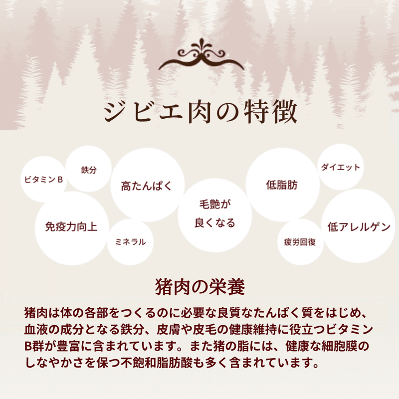 Forest_Blessing_Suite
